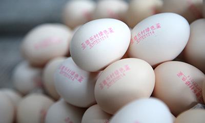 雞蛋噴碼機 雞蛋噴碼機